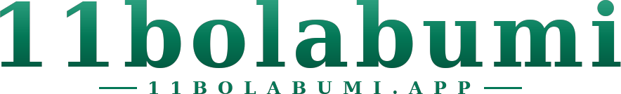 11bolabumi logo